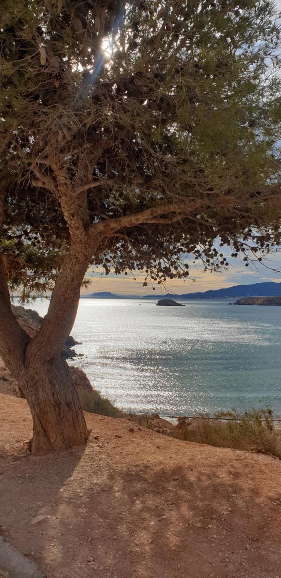 Acogedor Apartamento De Playa El Puerto de Mazarrón エクステリア 写真